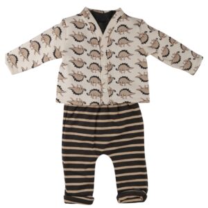 Dinosaur Set